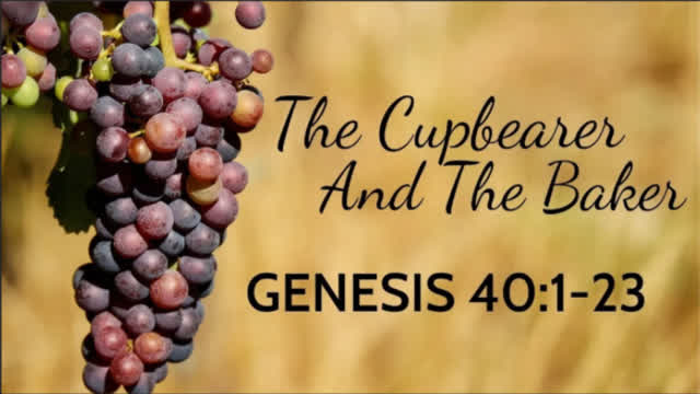 Genesis Chapter 40. Joseph interprets dreams in prison. (SCRIPTURE)
