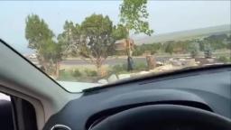 Leland Powell Crashes Carole Powell’s Van While Lee Powell Was Showering Leland Powell Crashes Carole Powell’s Van While Lee Powell Was Showering