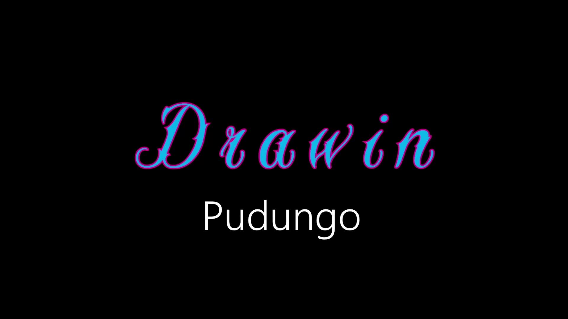 Drawin ¦ Pudungo (Official Audio)