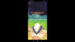Pokémon GO PVP 47