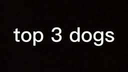 top 3 dog