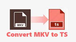 How to Convert MKV to TS with High Quality?