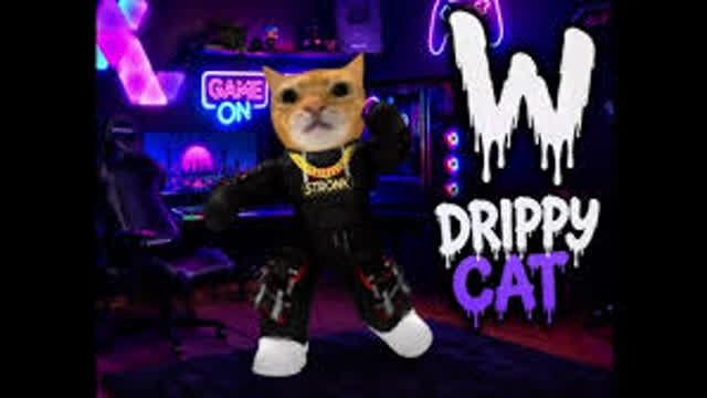 Cooked-SkibidiCoffe Disstrack
