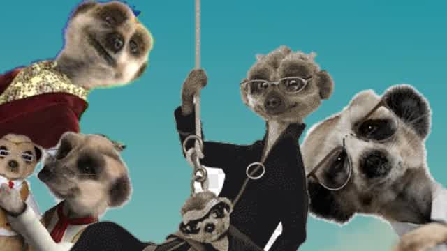 Compare the meerkat the movie