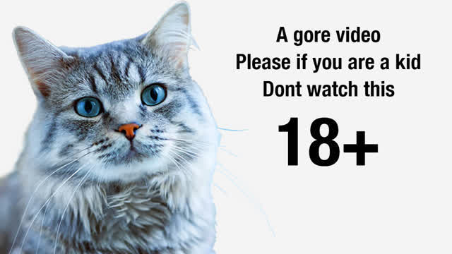 thumbnail with a cat warning you that this is a +18 video and not click on it if under 18