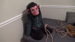 COOLEST MONKEY IN THE JUNGLE HANGS OUT Mumkey's Mailbag