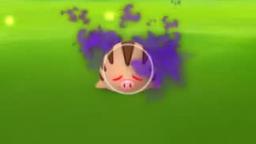 Pokémon GO-Shadow Swinub