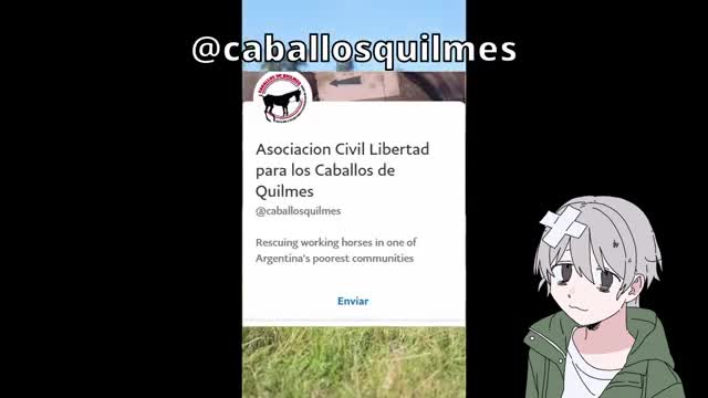 Si eres fan de #umamusume mira este short, los #CaballosDeQuilmes necesitan tu ayuda! Si eres fan de #umamusume mira este short, los #CaballosDeQuilmes necesitan tu ayuda!