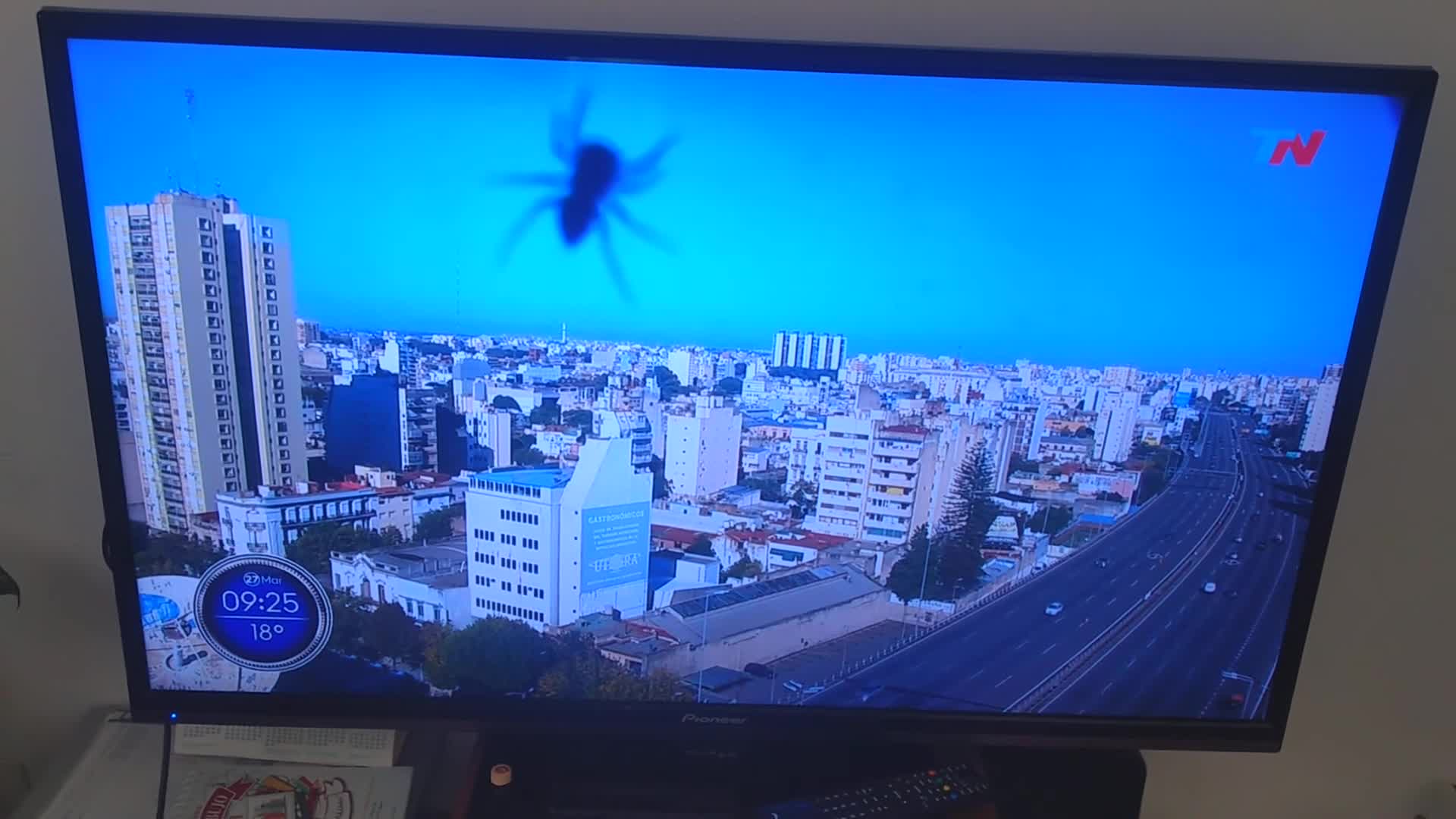 Araña aparece en las cámaras de TN Argentina.