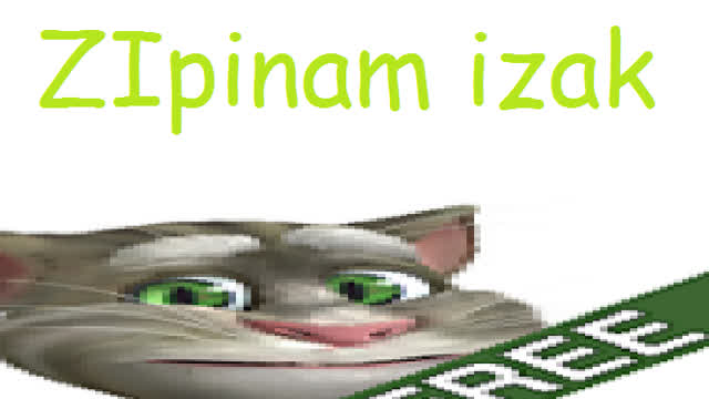 7NNO7 Talking Tom Cat 2