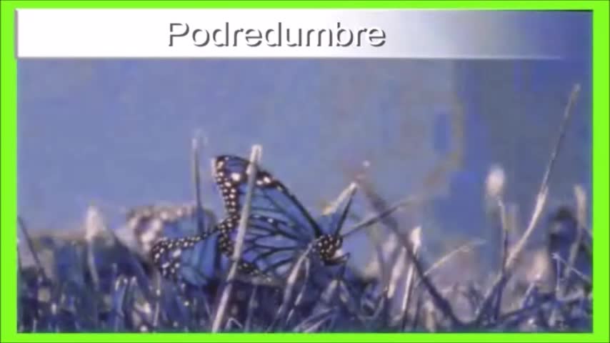 Posesión
