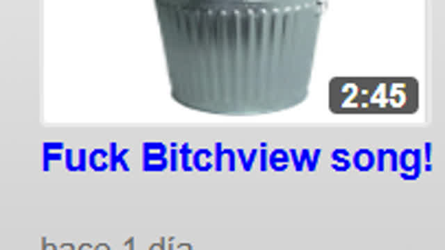 Critica definitiva a bitview