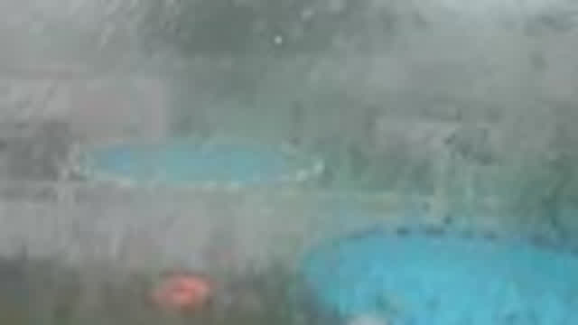 TORNADO IN MY BACKYARD!