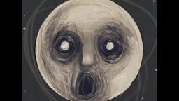 Steven Wilson-Luminol