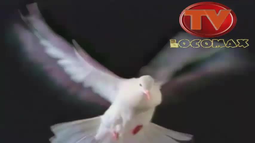 LocomaxTv Bolivia Semana Santa 2025