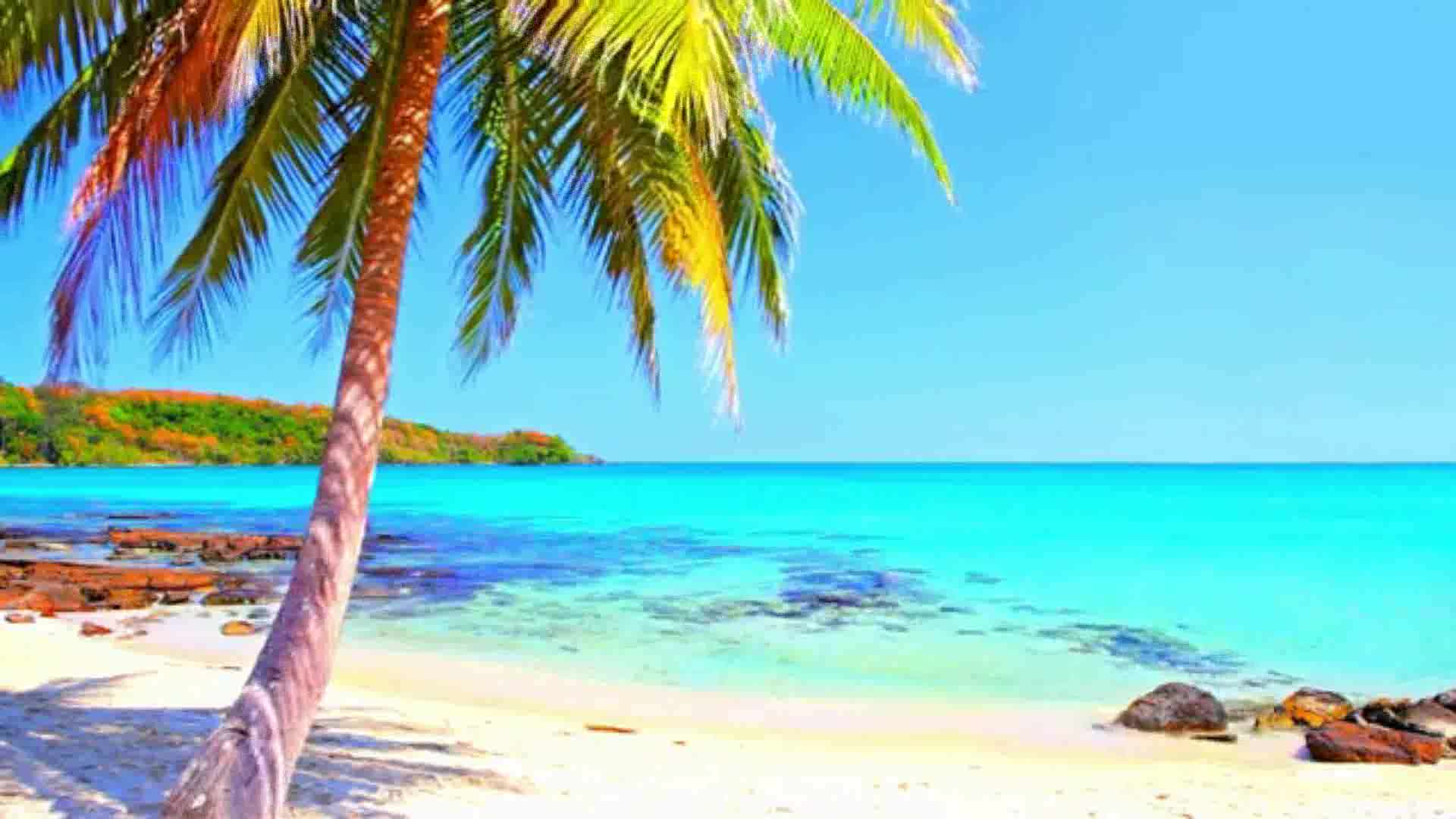 Brutal Truth - Blue World