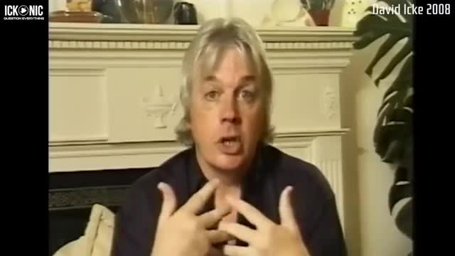 The Collective Hive Mind The Collective Hive Mind