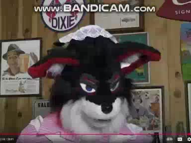 Greifer The Fox Gets Pied Again