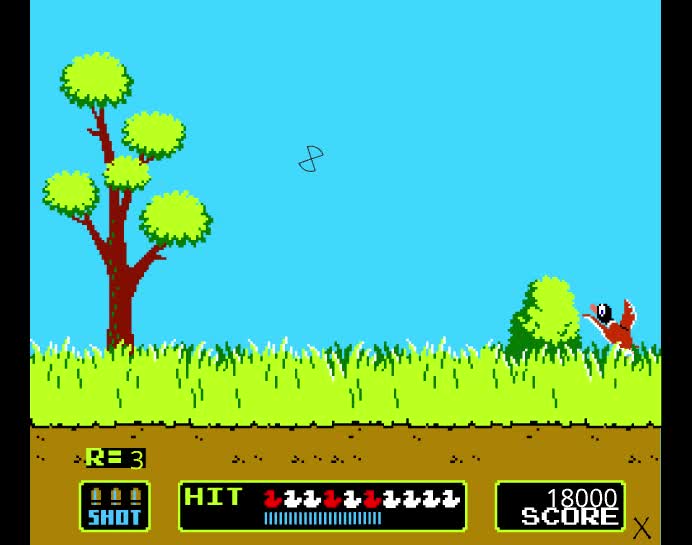 duck hunt