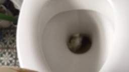 How To Wee