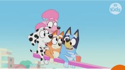 Get Bandit off the seesaw! - Bluey - ABC Kids