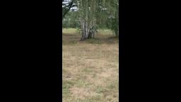 riding on my old bike