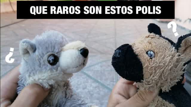 Qué Raros Son Estos Polis
