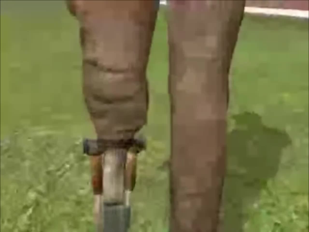 my_gameplay.mp4