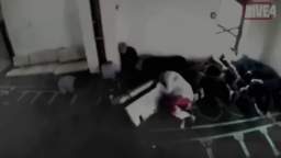 my mosque shooting edit 2