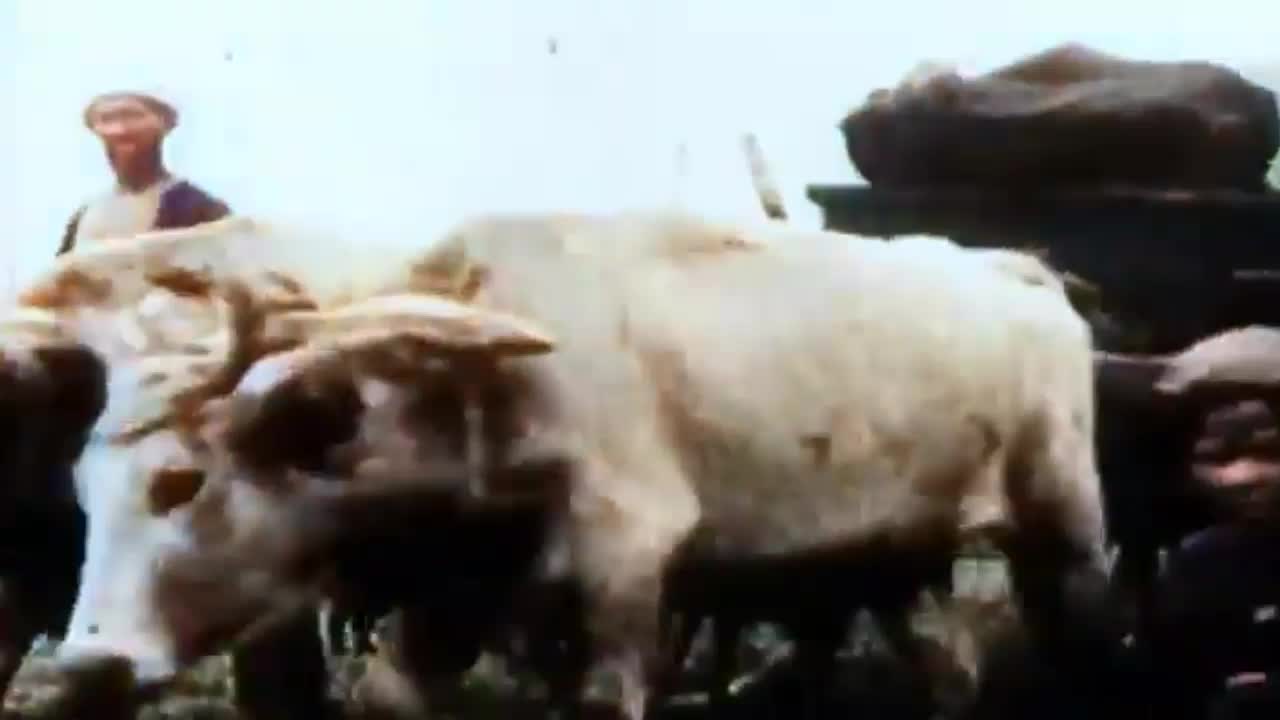 1912 Balkan Faciası