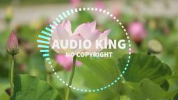 Audio King - Happy Life |Audio King|