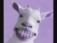 FARMLOPEZ - LA PUTA DE LA CABRA