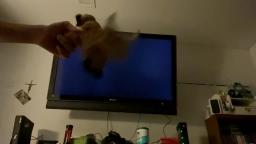Mr. Horns watches pinkfong wonderstar 4