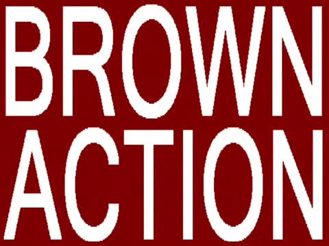 BROWN ACTION
