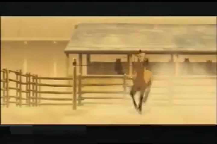 hualaycho bandido DVD PIRATA DJ POLIA