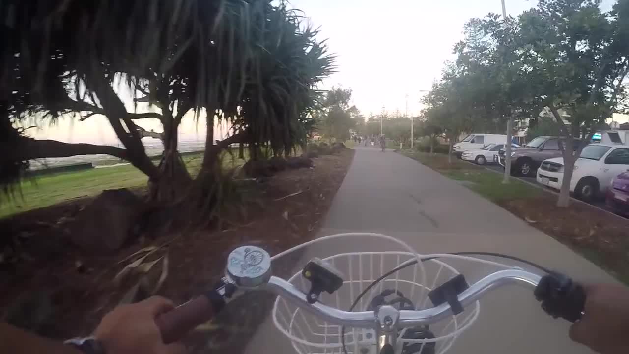 Adios, Profetismo. Hola, Suspendeme.