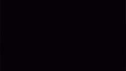 Brenton Tarrant Edit #2