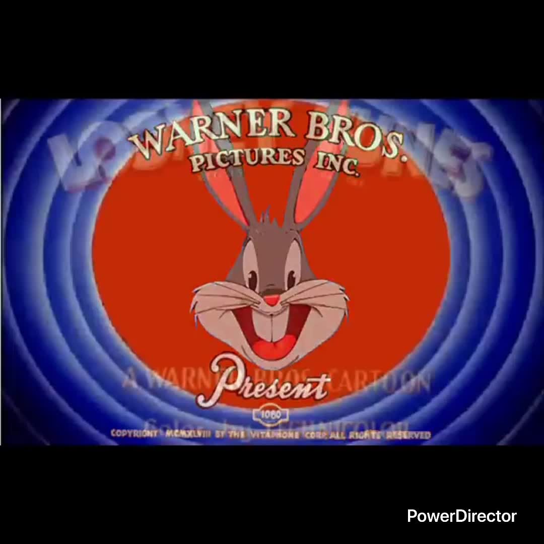 Looney Tunes Intro (CBT remix)