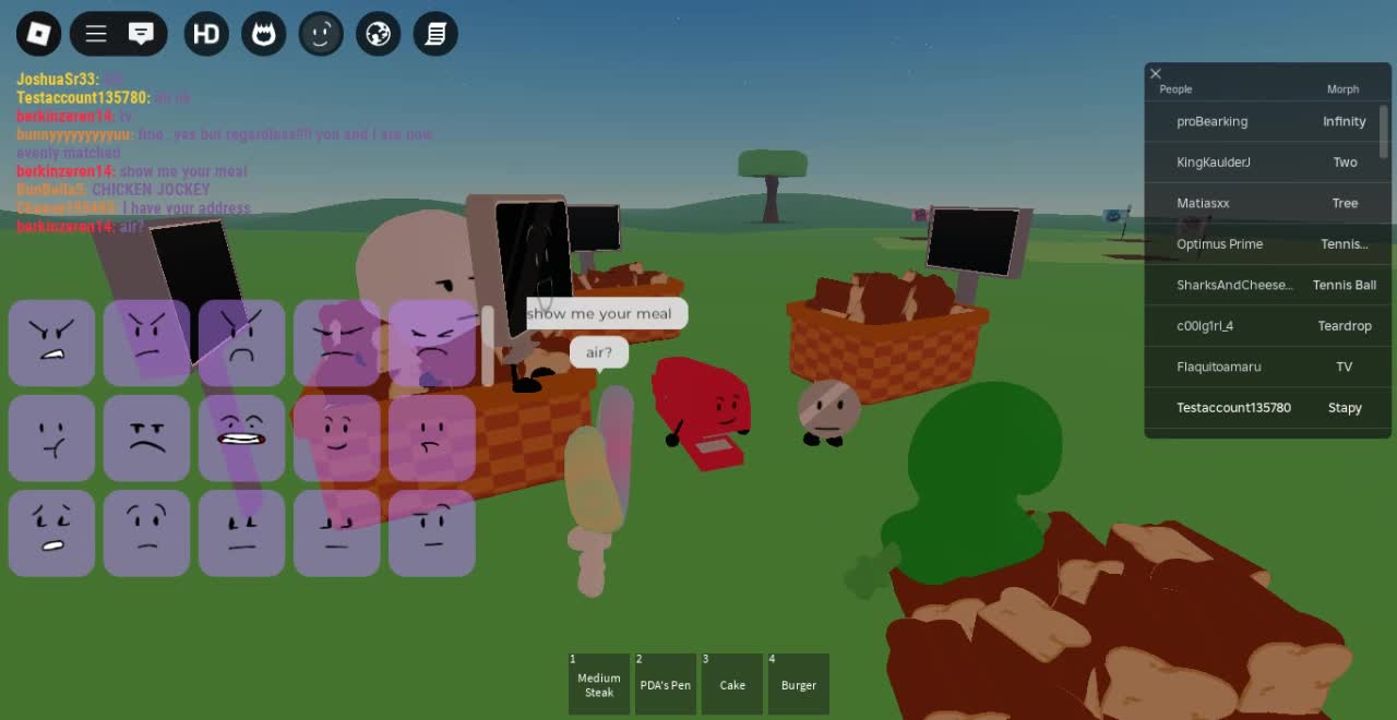 Roblox-2025-05-21T19_59_59.687Z