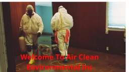 Air Clean Environmental Inc | Best Mold Specialist in Los Angeles, CA
