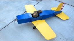 Squirrel Steals Airplane