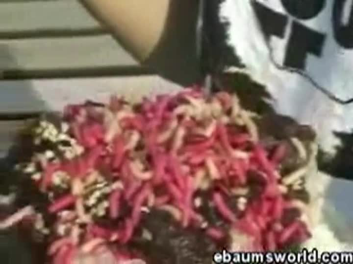 Maggot ice cream