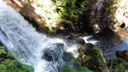 Triberger Wasserfälle im Schwarzwald🌲🌲
