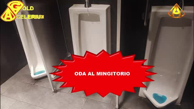 @ODA AL MINGITORIO, @GOLDACELERIUX