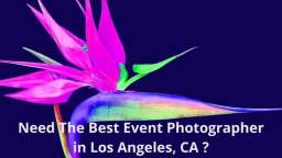 GV Event Photographer in Los Angeles, CA