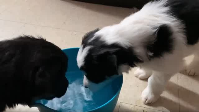 They Are Growing Up Fast!