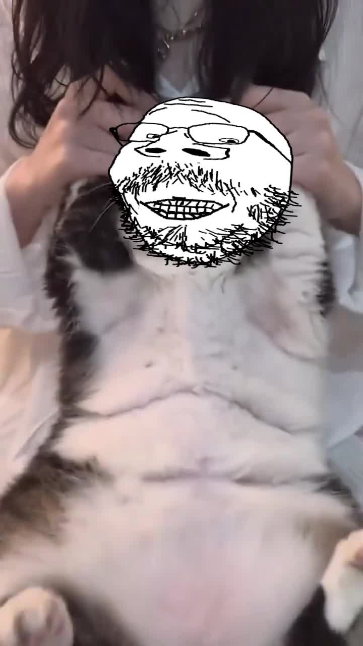 cat gapejak