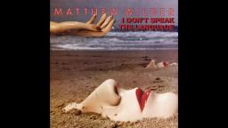 Matthew Wilder - Break My Stride