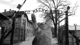 millions must meow