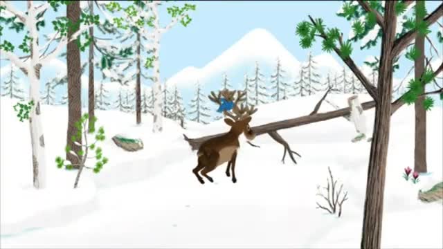 Mouk Series 1 Episode 21 In Search of the Caribous